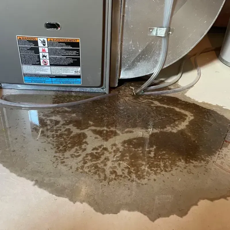 Appliance Leak Cleanup in Gulf Gate Estates, FL